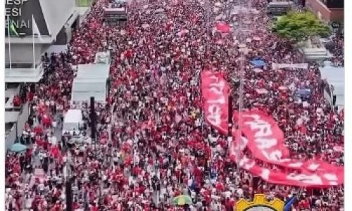avenida paulista dom