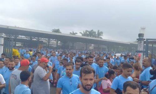 funcionarios azaleia